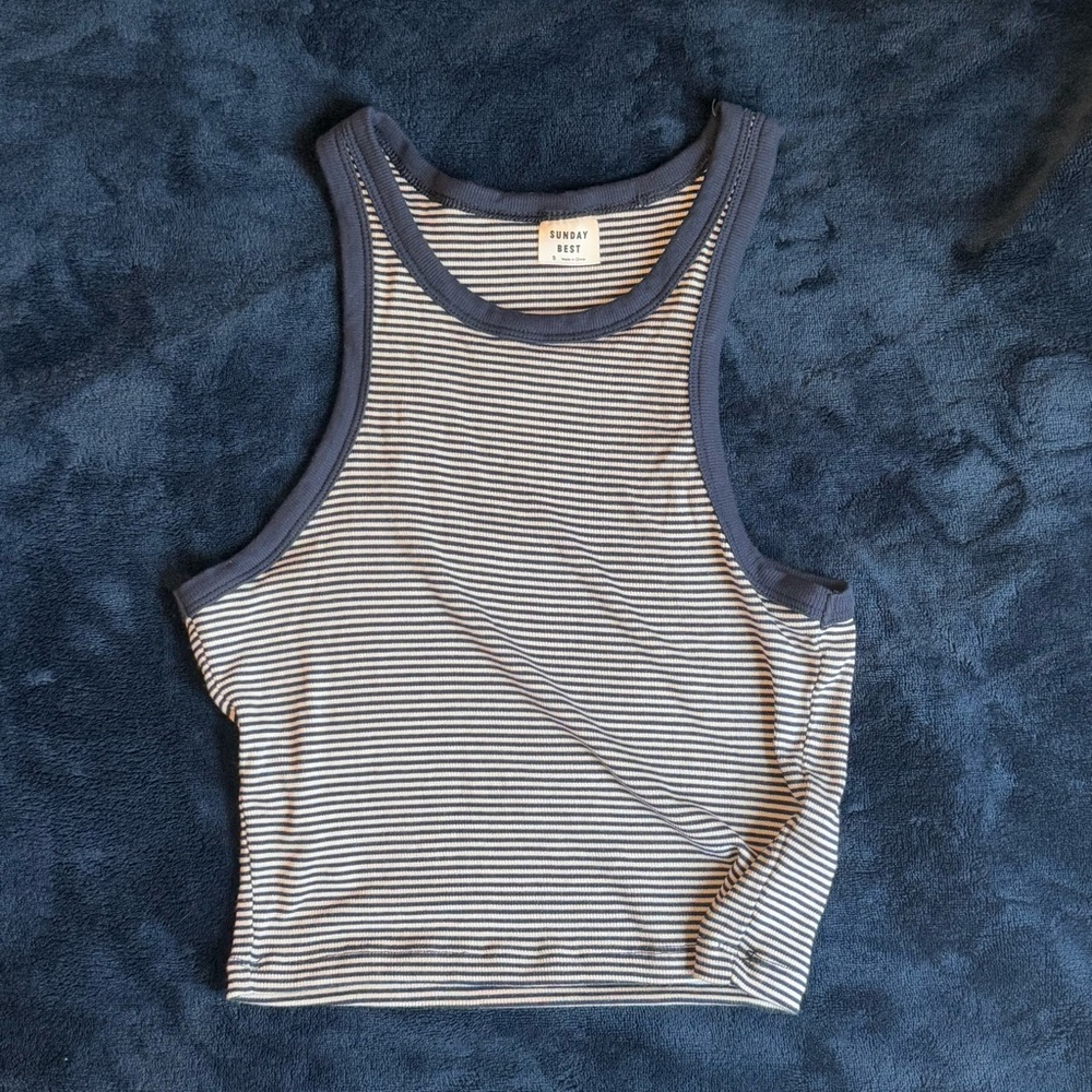 Aritzia Sunday Best Honor Tank Blue and White
